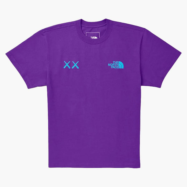 Kaws X The North Face Tee Gravity Purple