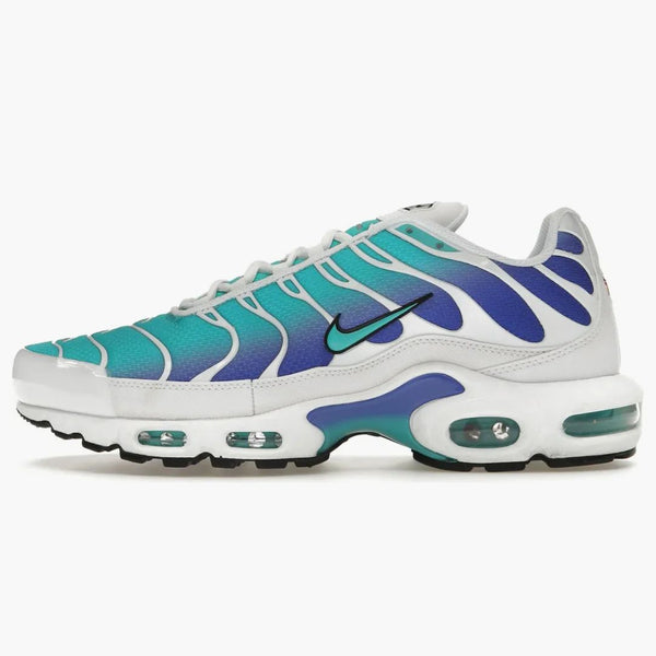 Nike Air Max Plus Aqua