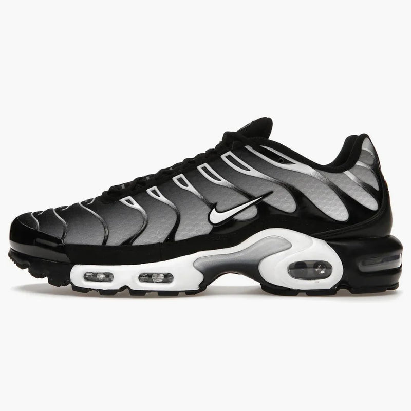 Nike Air Max Plus Black Silver White