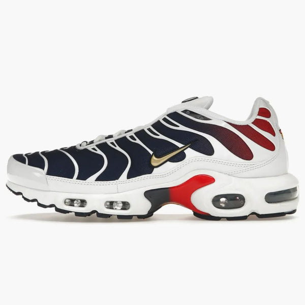 Nike Air Max Plus Psg