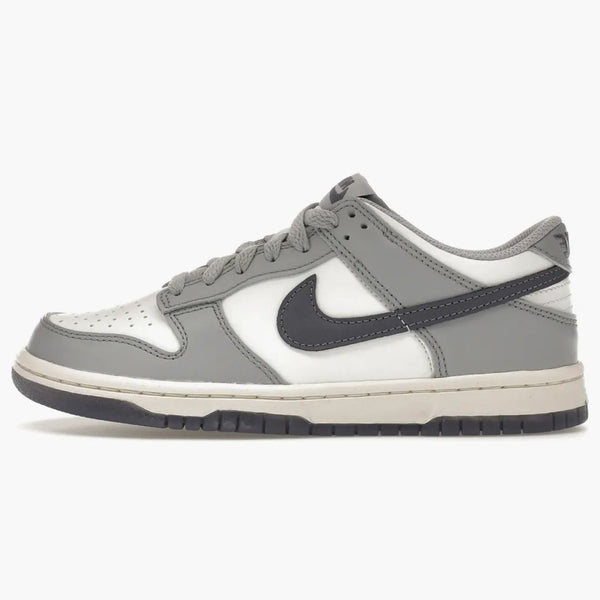 Nike Dunk Low Platinum Tint Light Carbon (gs)