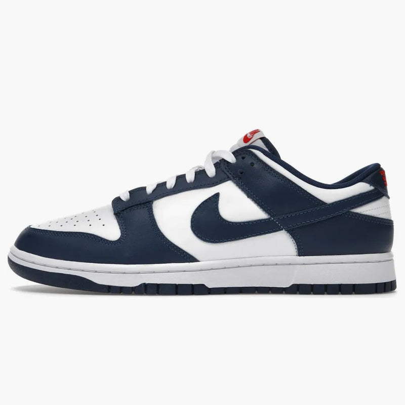 Nike Dunk Low Valerian Blue