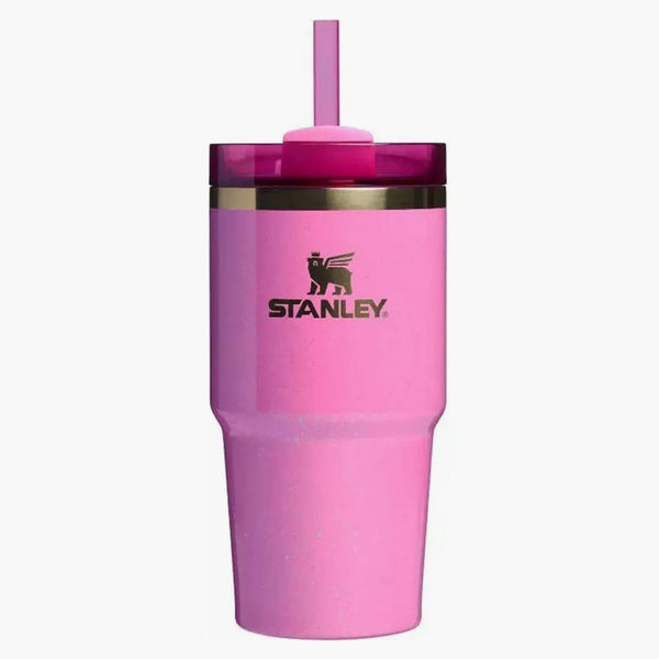 Stanley X Target X Wicked Flowstate Quencher 20oz Tumbler Glinda