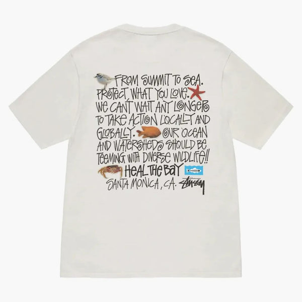 Stussy Heal The Bay Pigment Dyed Summit To Sea Tee Natural