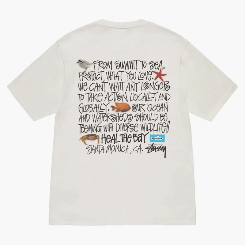 Stussy Heal The Bay Pigment Dyed Summit To Sea Tee Natural